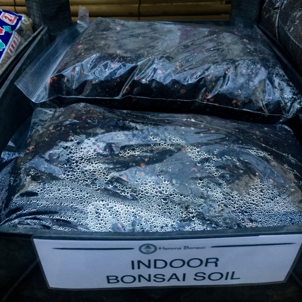 Indoor Bonsai Soil Mix