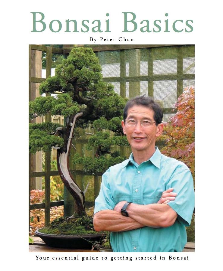 Bonsai Basics - Peter Chan