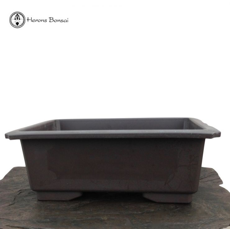 Deep Rectangle Plastic Bonsai Pot  | Herons Bonsai