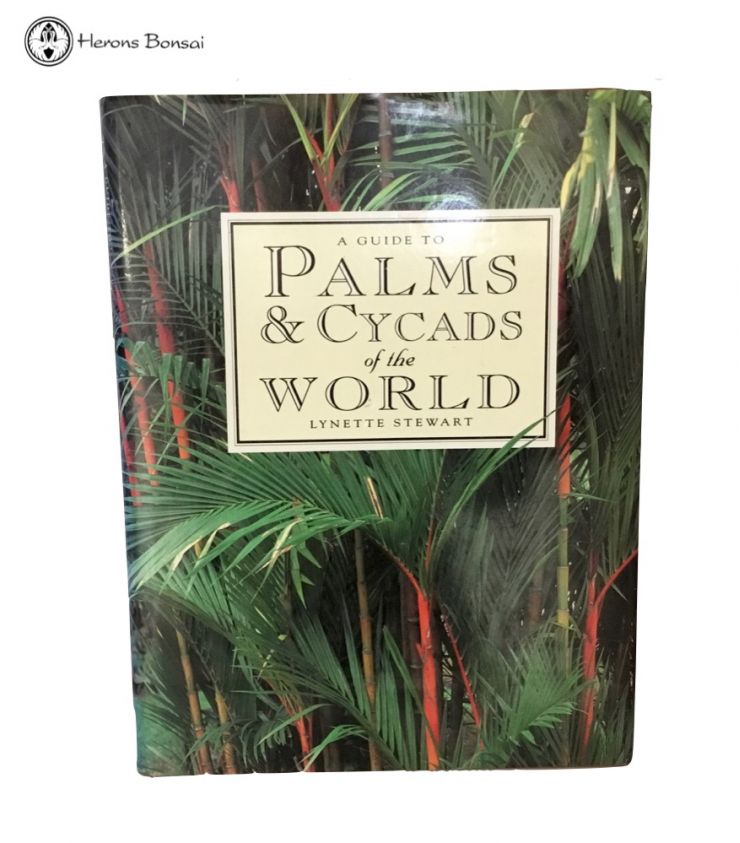 Palms & Cycads of the World by Lynette Stewart