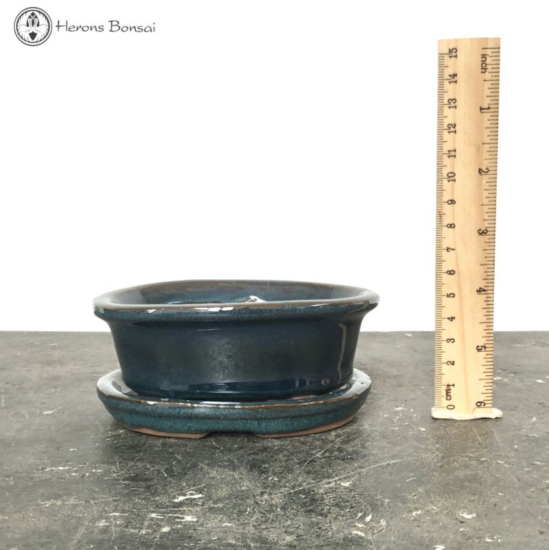 Bonsai Pot with Drip Tray (12.5cm) | Blue Oval