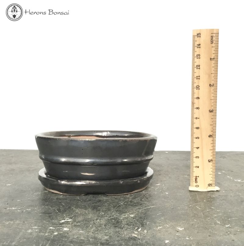 Bonsai Pot with Drip Tray (12.5cm) | Metallic Grey Oval