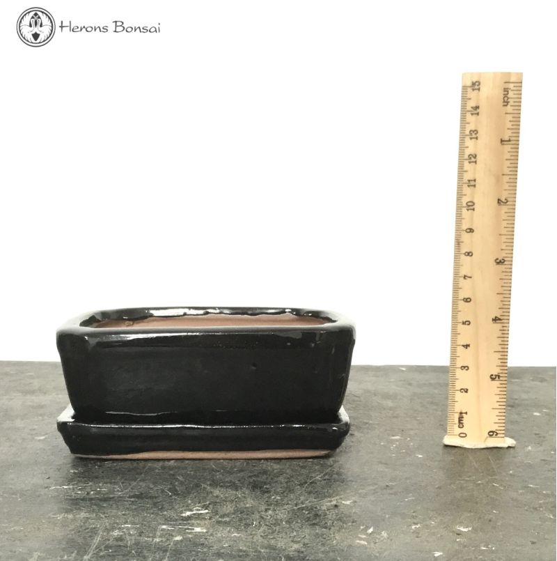 Bonsai Pot with Drip Tray (13cm) | Black Rectangular