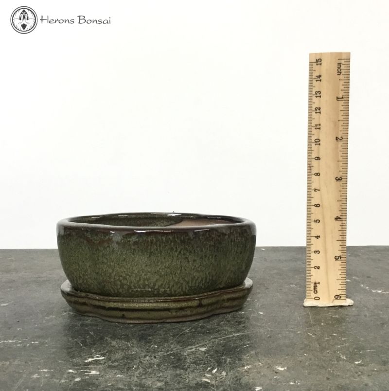 Bonsai Pot with Drip Tray (12.5cm) | Green Irregular