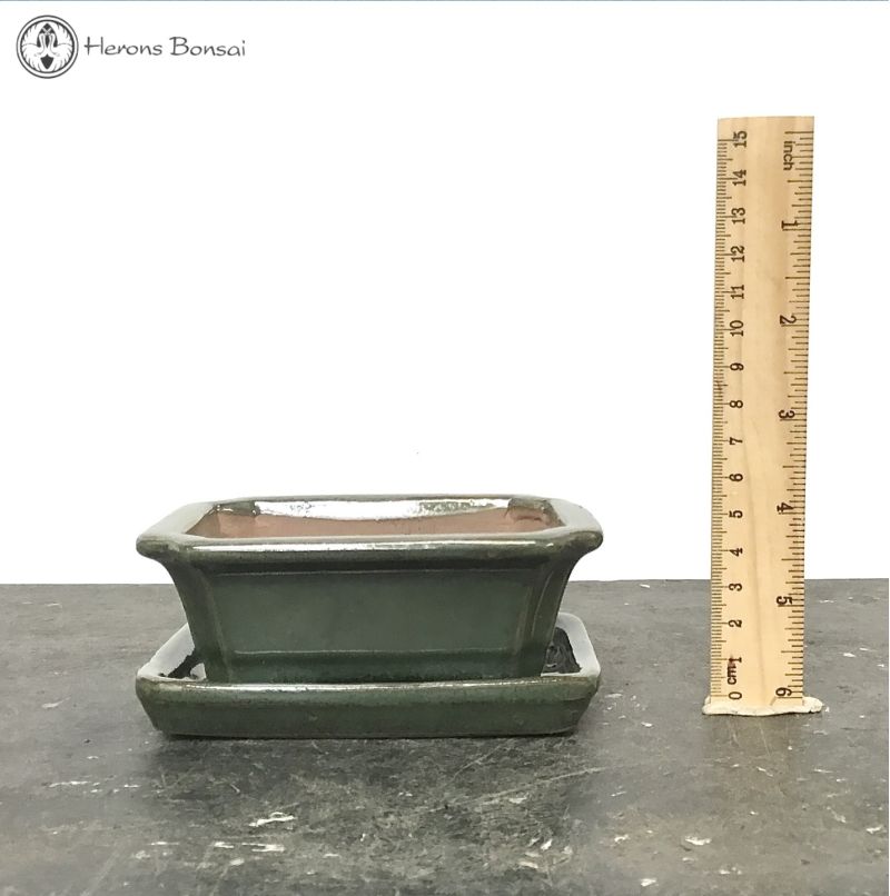 Bonsai Pot with Drip Tray (12cm) | Metallic Green Irregular