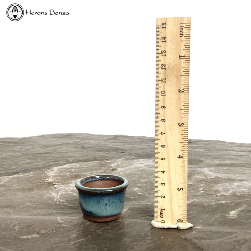 Round Mame (Miniature) Bonsai Pot (4cm) | Blue 