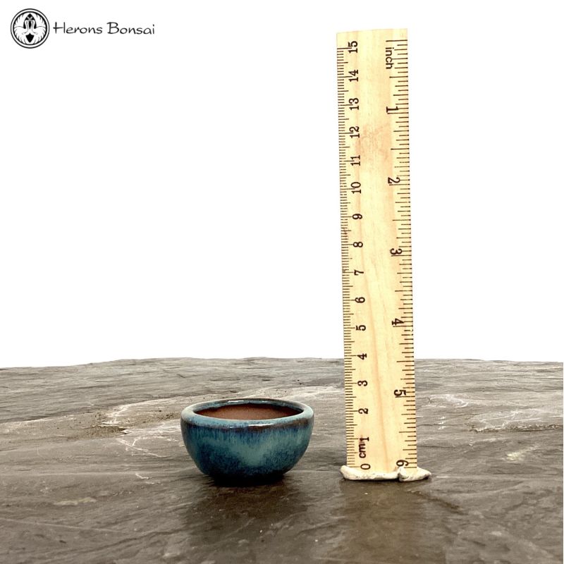 Round Mame (Miniature) Bonsai Pot (4.5cm) | Blue 