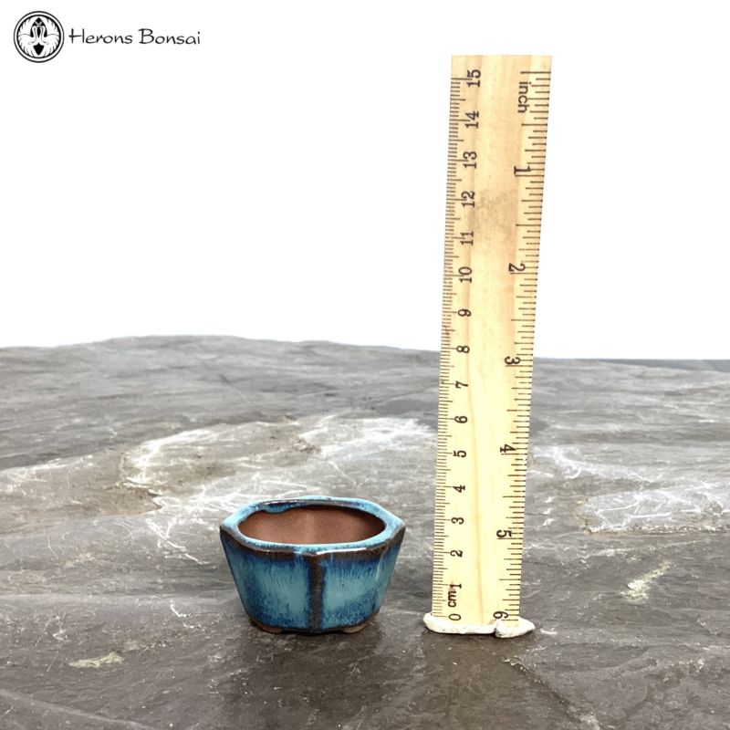 Mame (Miniature) Bonsai Pot (5cm) | Blue Irregular