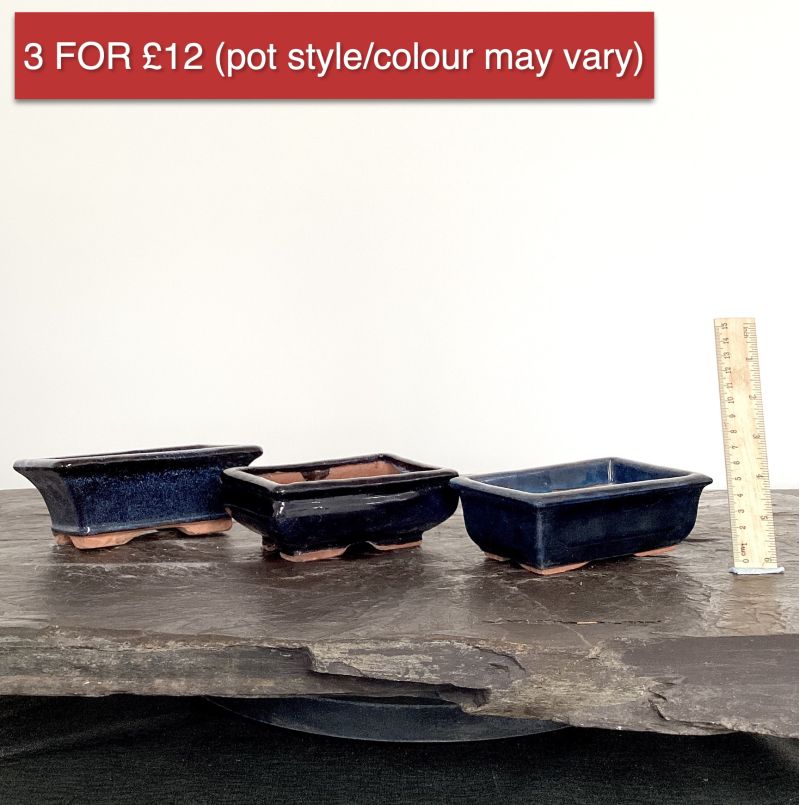 3 Pot for £12 | 14cm |  USED