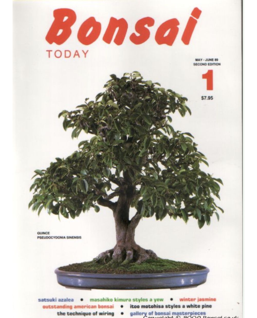 Bonsai Today Magazines for sale