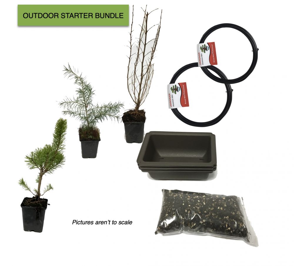 Starter Bonsai Tree Bundle | Outdoor 