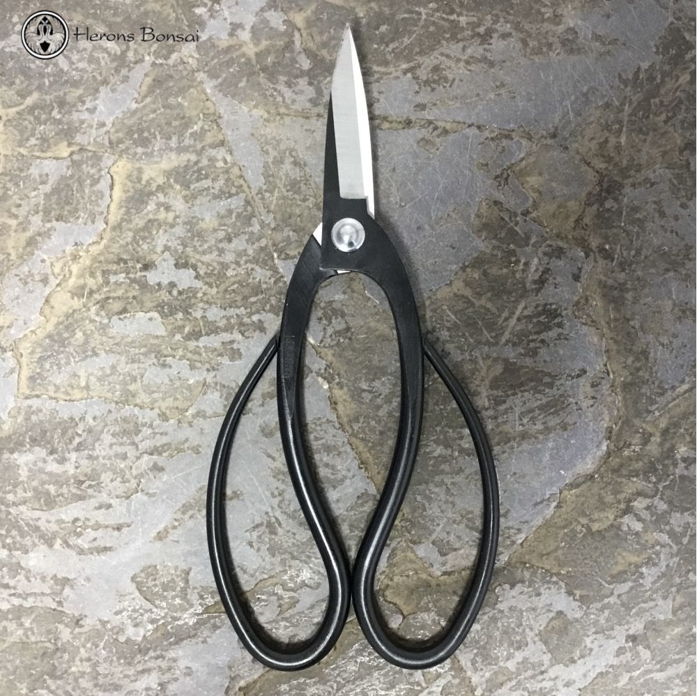 Herons Branded Root Scissors | 195mm 