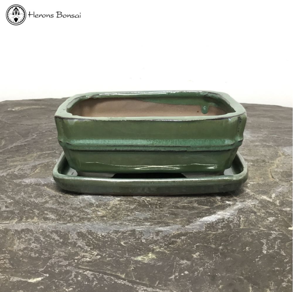 Green Irregular Shaped Bonsai Pot & Undertray (15.5cm)
