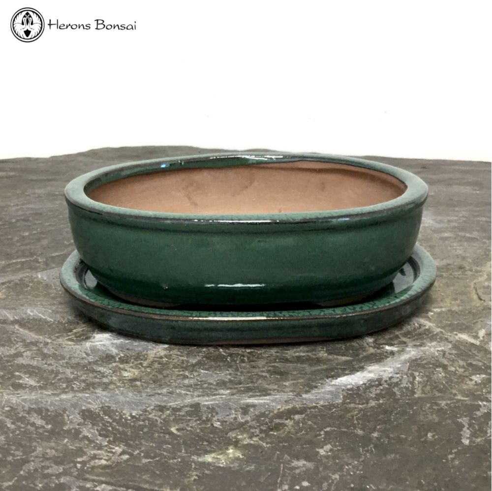 Green Oval Bonsai Pot & Undertray (16cm)