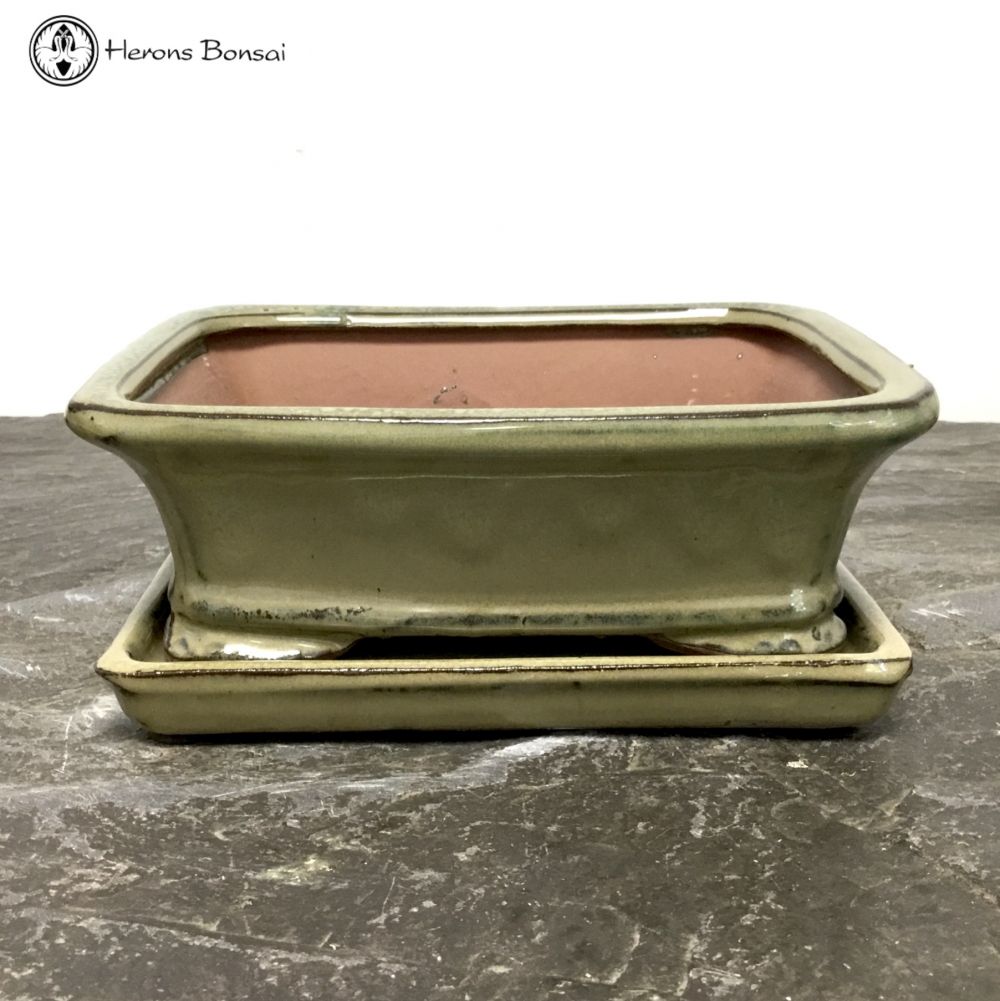 Olive Rectangle Bonsai Pot & Undertray (19cm)