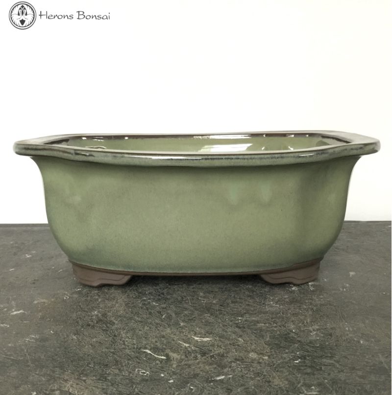 Light Green Irregular Ceramic Bonsai Pot (25cm)