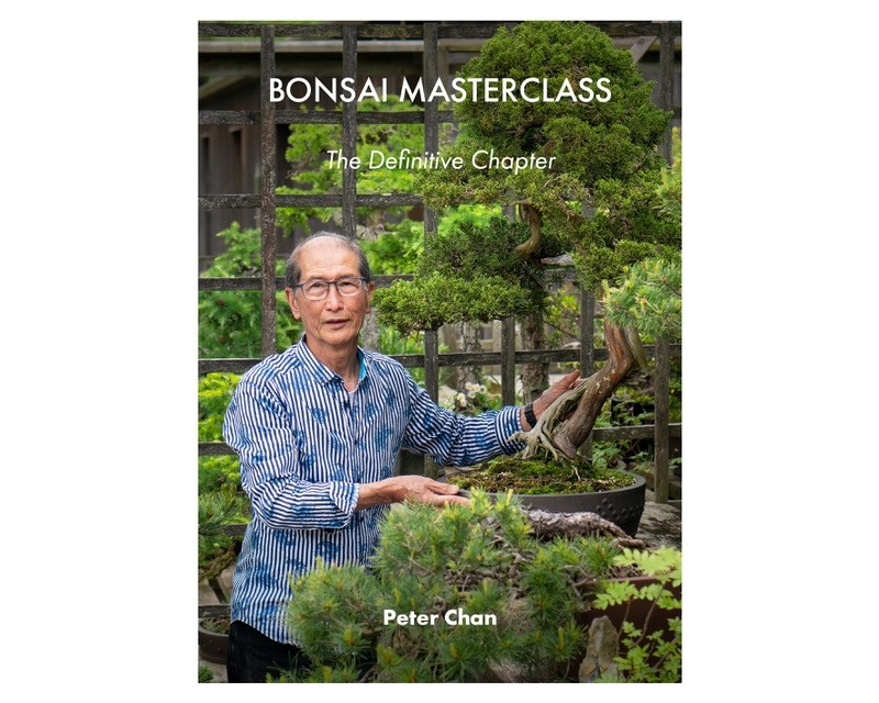 bonsai masterclass