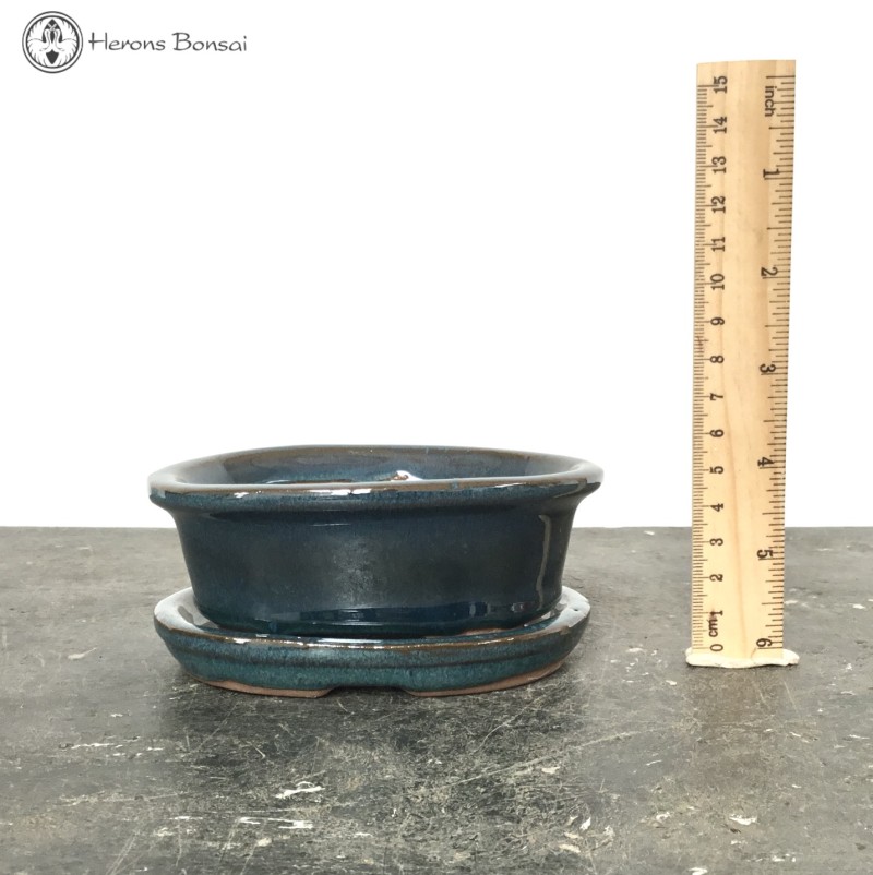 Bonsai Pot with Drip Tray (12.5cm) | Blue Ova