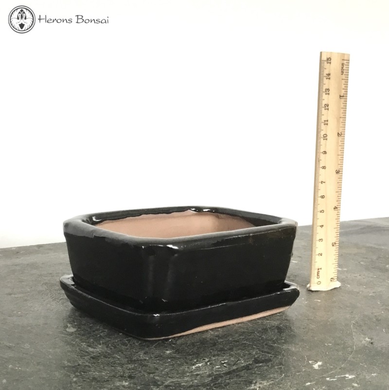 Bonsai Pot with Drip Tray (13cm) | Black Rect