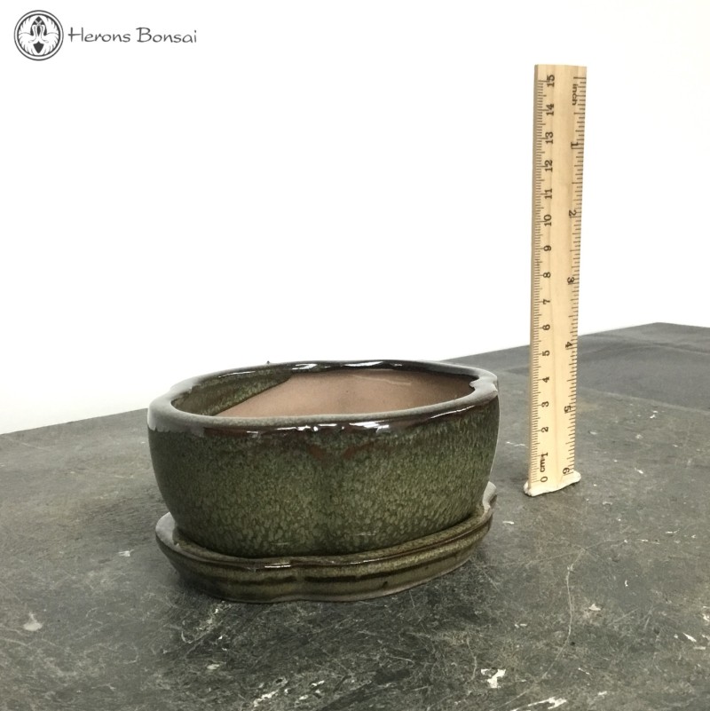 Bonsai Pot with Drip Tray (12.5cm) | Green Ir