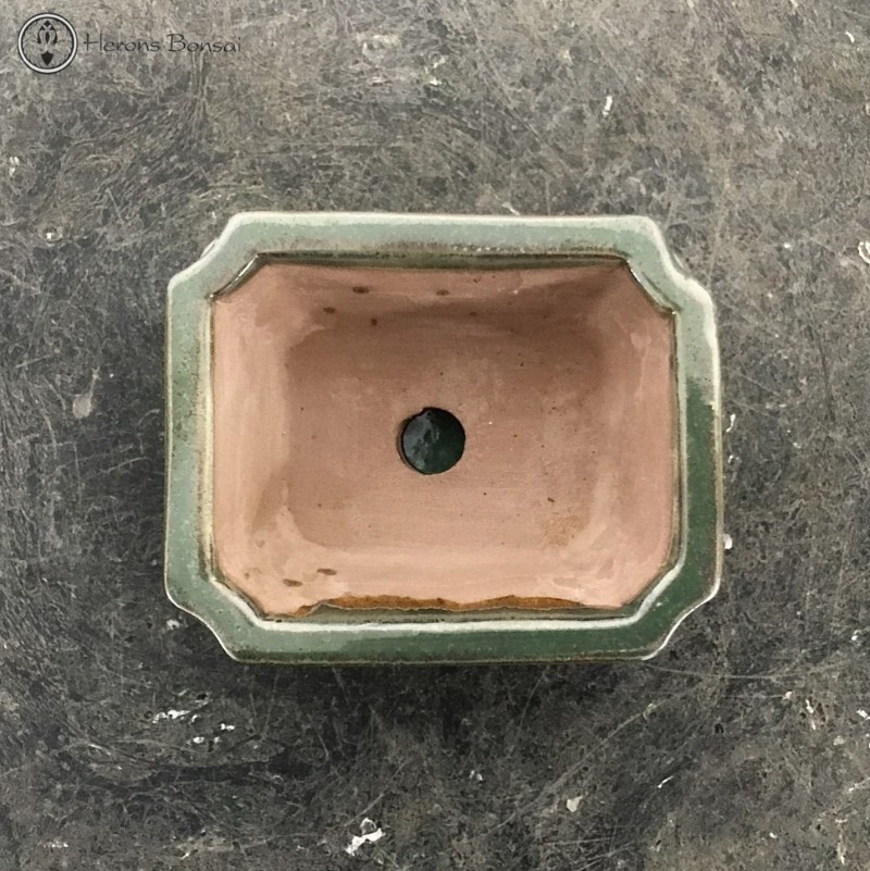 Bonsai Pot with Drip Tray (12cm) | Metallic G