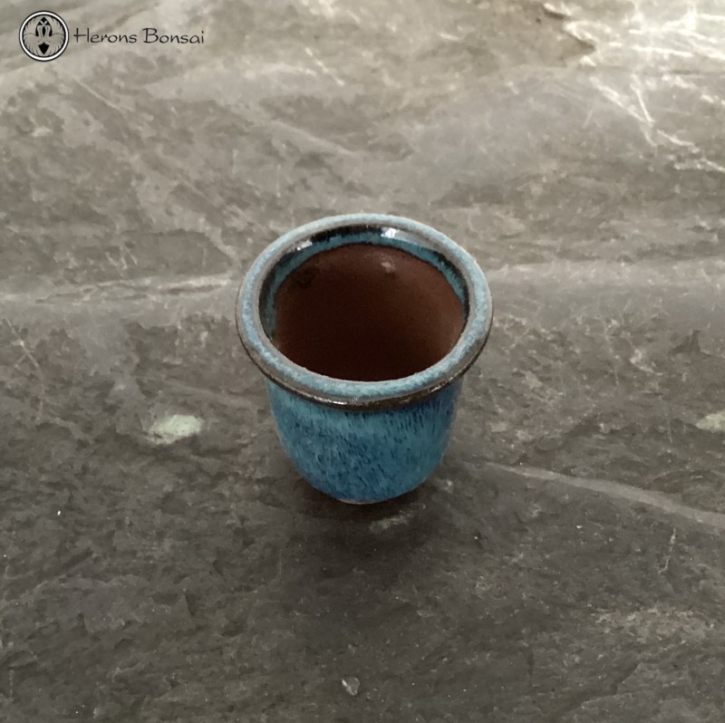 Mame (Miniature) Bonsai Pot (4cm) | Round Cas
