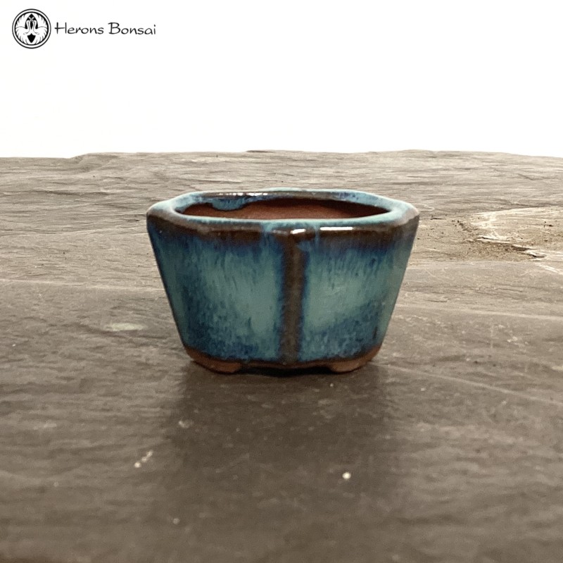Mame (Miniature) Bonsai Pot (5cm) | Blue Irre