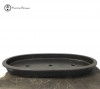 Mica Bonsai Pot | Shallow Oval (71cm)