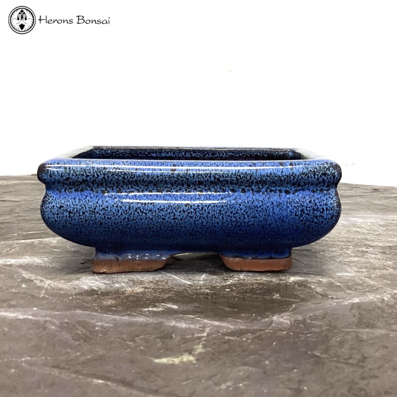Blue Bonsai Pots (14cm) 3 for £10 | Use