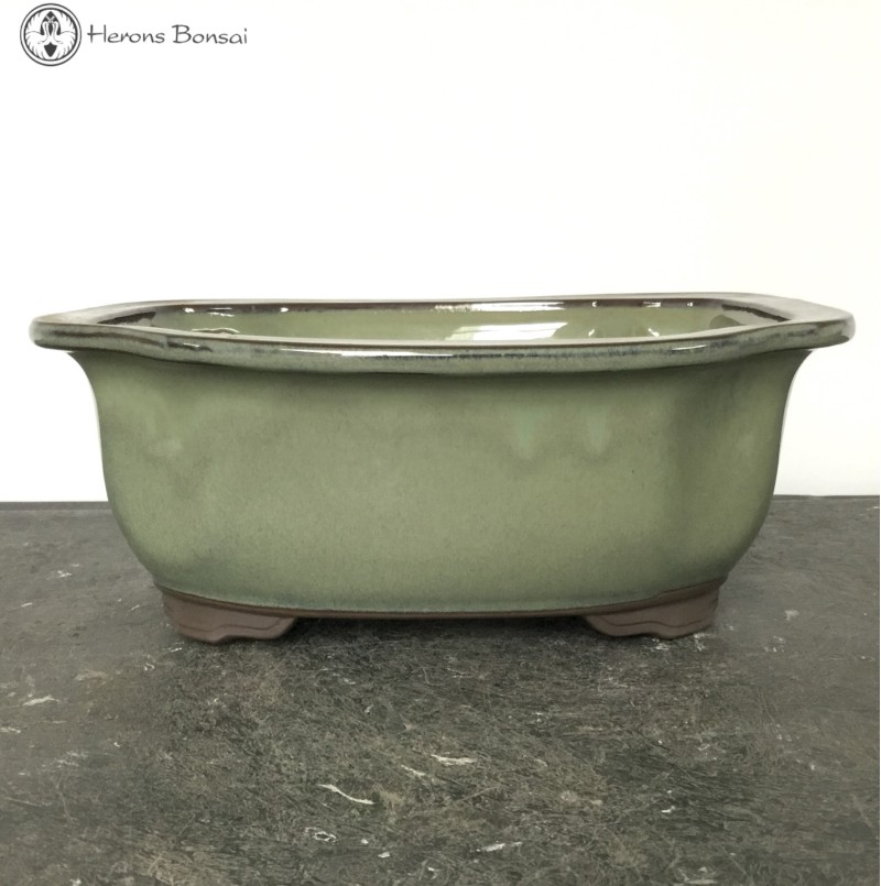 Light Green Irregular Ceramic Bonsai Pot (25c