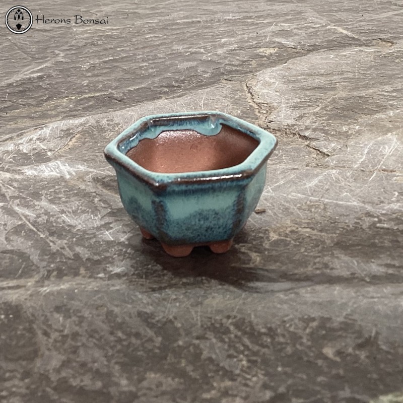 Mame (Miniature) Bonsai Pot (4.5cm) | Blue He