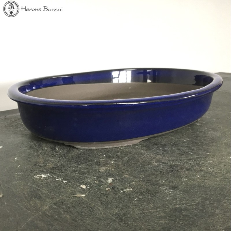 Blue Oval Ceramic Bonsai Pot (28.5cm)