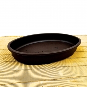 large shallow oval plastic bonsai pot