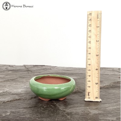 Green Round Mame (Miniature) Bonsai Pot (8.5cm)