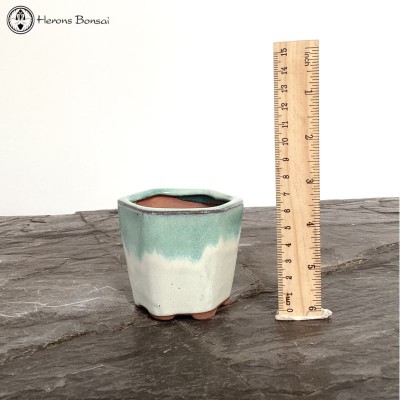 Mame (Miniature) Bonsai Pot (7cm) | Pale Green Hexagon Cascade 