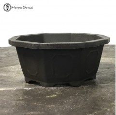 Deep Octangular Plastic Bonsai Pot 15cm