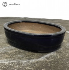 Dark Blue Oval Bonsai Pot (15cm)
