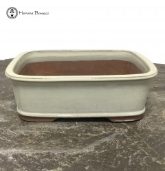 Cream Bonsai Pot (21cm) | Tongrae