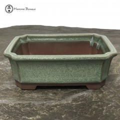 Green Lotus Pot (15cm) | Tongrae