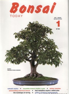 bonsai today magazines