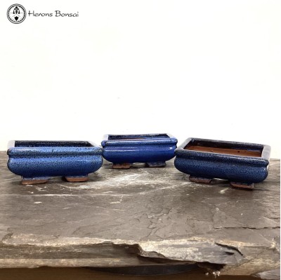 Blue Bonsai Pots (14cm) 3 for £10 | Used