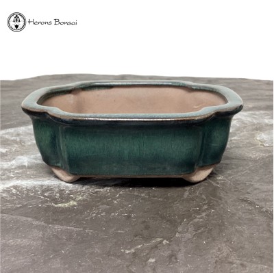 Green Irregular Bonsai Pot (15.5cm)