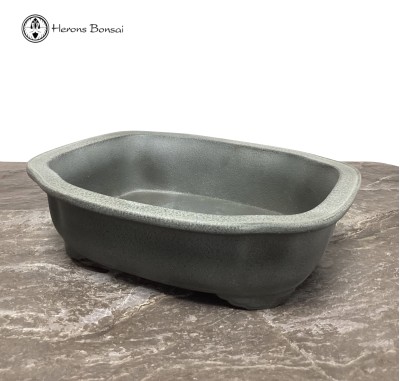 Silver Fox Matt Irregular Bonsai Pot (27cm) | Tokoname