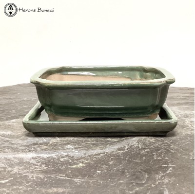 Green Irregular Shaped Bonsai Pot & Undertray (18.5cm)
