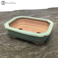 Pale Green Irregular Shaped Bonsai Pot (15.5cm)