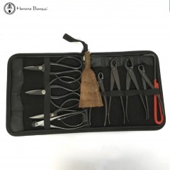 10 Piece Bonsai Tool Kit 