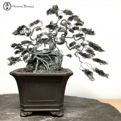 Bonsai Art - Tree made of Wire