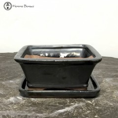 Black Rectangle Bonsai Pot & Undertray (16cm)
