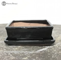 Black Rectangular Ceramic Bonsai Pot & Undertray (16.5cm)