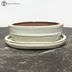 Cream Oval Ceramic Bonsai Pot & Undertray (15cm) 